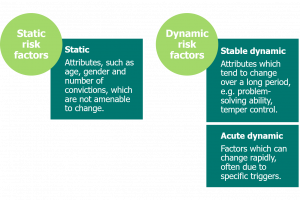 Diagram displays three types of risk factors: static (attributes that aren't amenable to change), stable dynamic (attributes which tend to change over a long period) and acute dynamic (factors which can change rapidly, often due to specific triggers).