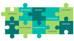 Diagram displays interlocking puzzle pieces which read 'belonging, safety, involvement, communication, structure, empowerment, development, leadership, boundaries and openness'.