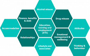 Image shows a range of needs for adults: Accommodation; education, training, and employment (ETE); finance, benefits and debt; relationships; lifestyle and associates; alcohol misuse; drugs misuse; emotional management and wellbeing; attitudes; thinking and behaviour